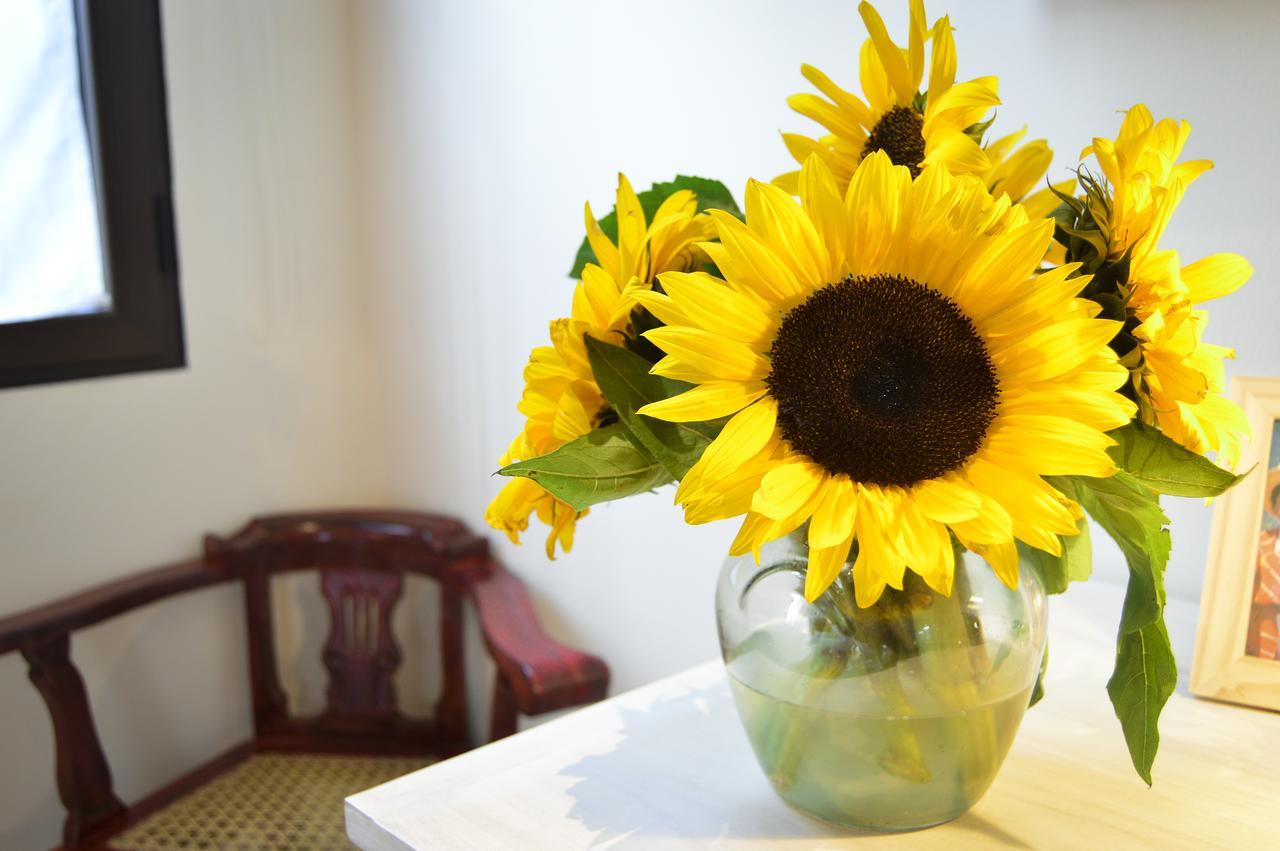לינה וארוחת בוקר אנטיגואה גואטמלה Casa Girasol מראה חיצוני תמונה